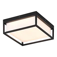 Потолочный светильник LED уличный Cubista SL9517.402.01 ST-Luce уличный IP65 чёрный на 1 лампу, плафон белый в стиле хай-тек современный LED