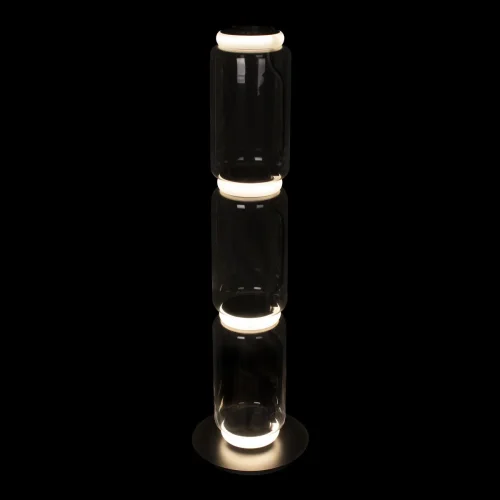 Торшер LED Noctambule 10194F/M LOFT IT  прозрачный 1 лампа, основание чёрное в стиле современный
 фото 4