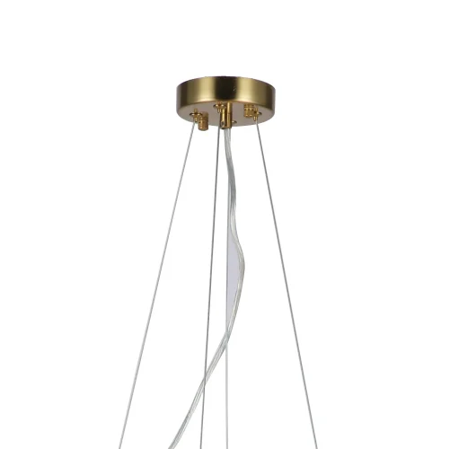 Люстра подвесная Philomela 3054-8P Favourite прозрачная на 8 ламп, основание медь в стиле классика птички фото 2
