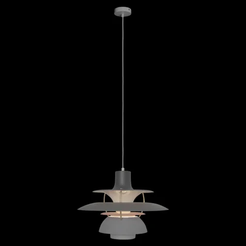 Светильник подвесной Floret 10113 Grey LOFT IT серый 1 лампа, основание белое в стиле современный  фото 2