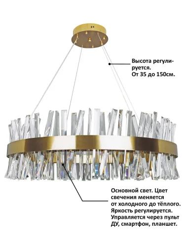 Люстра подвесная LED с пультом Нимб INNOVATION STYLE 83049 Natali Kovaltseva прозрачная на 1 лампа, основание золотое в стиле современный с пультом кольца