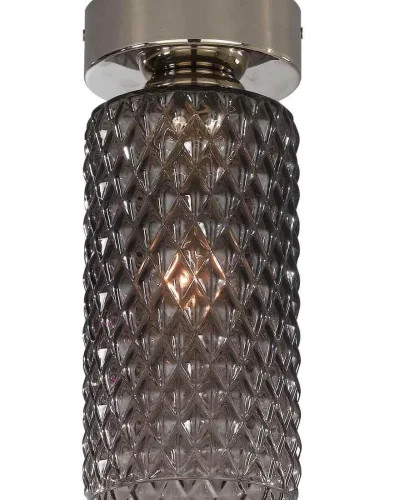 Светильник накладной PL 10000/1 Reccagni Angelo серый чёрный 1 лампа, основание никель в стиле современный классический круглый фото 3