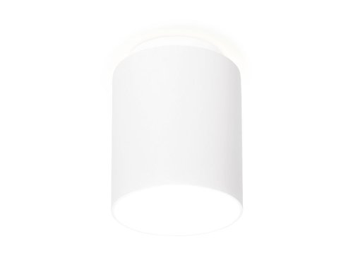 Светильник накладной LED TN260 Ambrella light белый 1 лампа, основание белое в стиле современный круглый