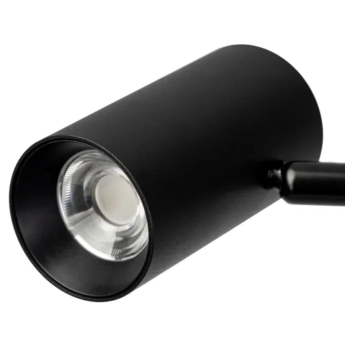 Торшер LED Twin CL809011N Citilux для чтения чёрный на 2 лампы, основание чёрное в стиле современный минимализм фото 6