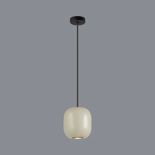 Светильник подвесной Cocoon 5060/1GA Odeon Light бежевый 1 лампа, основание чёрное в стиле современный шар фото 4