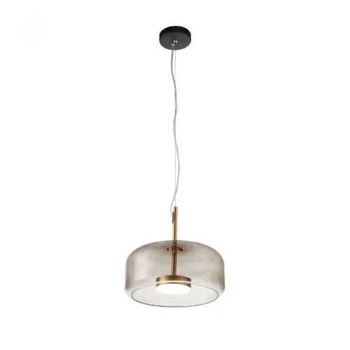 Светильник подвесной LED Palochino SL1053.243.01 ST-Luce серый прозрачный на 1 лампу, основание чёрное золотое в стиле современный 