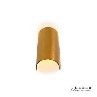 Бра LED Cute ZD8077-6W Gold iLedex золотой 1 лампа, основание золотое в стиле современный хай-тек 