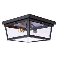 Светильник потолочный лофт LOFT3110-2C LOFT IT прозрачный 2 лампы, основание чёрное в стиле лофт 