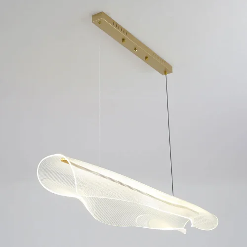 Светильник подвесной LED Bradford LSP-7294 Lussole прозрачный 1 лампа, основание матовое золото в стиле современный хай-тек  фото 2