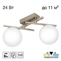 Светильник потолочный LED Dorsy CL223121 Citilux белый на 2 лампы, основание матовое хром в стиле современный шар