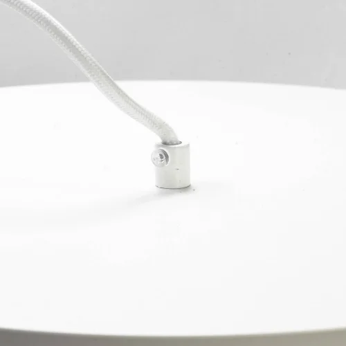 Светильник подвесной LSP-9559 Lussole белый 1 лампа, основание белое в стиле современный  фото 4