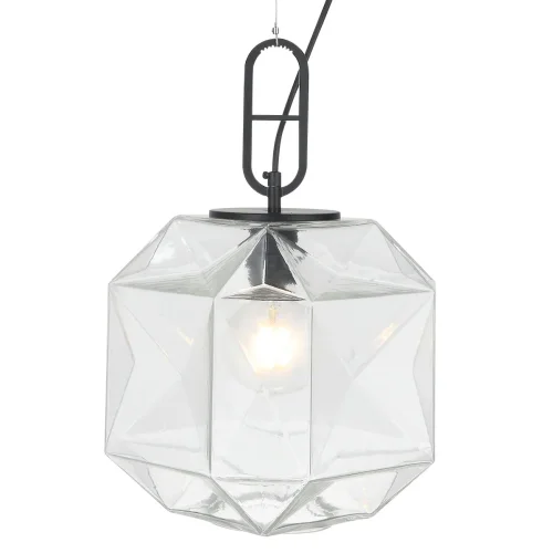 Светильник подвесной Ria 2102/00/01P Stilfort прозрачный 1 лампа, основание чёрное в стиле современный  фото 2