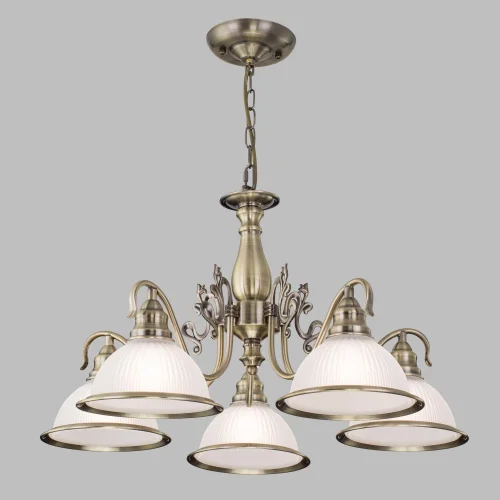 Люстра подвесная Идальго CL434151 Citilux белая на 5 ламп, основание бронзовое в стиле классический кантри  фото 3