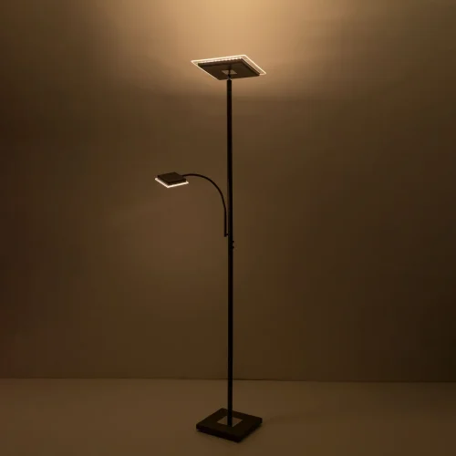 Торшер LED с dimm Харди CL802015 Citilux для чтения коричневый 1 лампа, основание коричневое в стиле современный
 фото 5