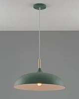 Светильник подвесной Hygo V10656-1P Moderli зелёный 1 лампа, основание зелёное в стиле лофт скандинавский современный 