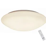 Светильник потолочный LED с пультом Berkeley OML-43007-40 Omnilux белый 1 лампа, основание белое в стиле хай-тек современный с пультом