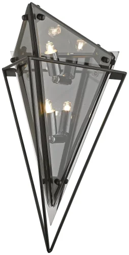 Бра Rombo WE244.05.021 Wertmark серый прозрачный на 5 ламп, основание чёрное в стиле современный 