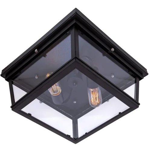 Светильник потолочный лофт LOFT3110-2C LOFT IT прозрачный 2 лампы, основание чёрное в стиле лофт  фото 2