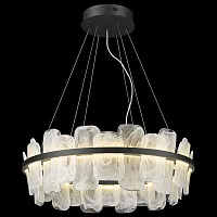 Светильник подвесной LED Nelly WE158.24.603 Wertmark прозрачный на 1 лампу, основание чёрное в стиле современный 