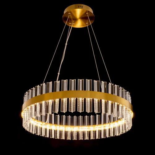 Люстра подвесная LED с пультом Рианна CL337063 Citilux прозрачная на 1 лампа, основание бронзовое в стиле современный с пультом фото 2