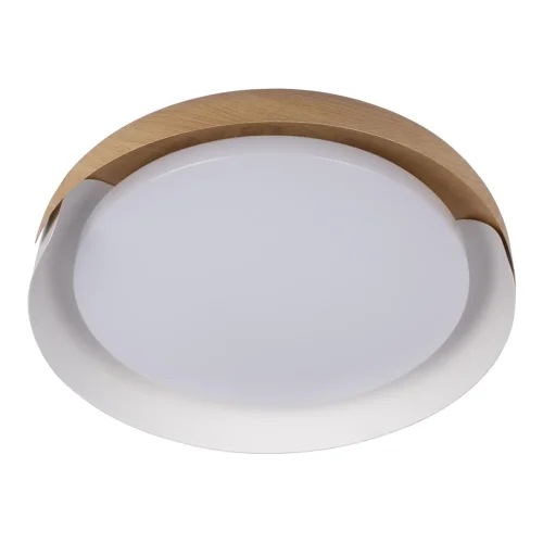 Светильник потолочный LED Coin 10198 White LOFT IT белый бежевый коричневый 1 лампа, основание коричневое белое в стиле современный  фото 5