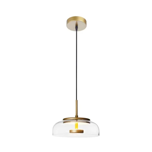 Светильник подвесной LED Disk 8210-P LOFT IT прозрачный на 1 лампу, основание золотое в стиле современный 