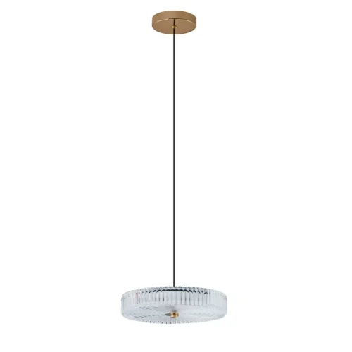 Светильник подвесной LED Viro L 1.5.45 G Arti Lampadari прозрачный на 1 лампу, основание золотое в стиле классический 