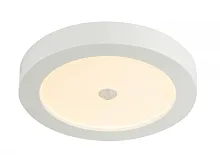 Светильник накладной LED Paula 41605-18S Globo белый на 1 лампу, основание белое в стиле современный круглый
