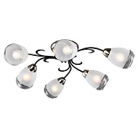 Люстра потолочная Oakland LSP-9952 Lussole белая прозрачная на 6 ламп, основание чёрное в стиле современный Люстра потолочная Oakland LSP-9952 Lussole белая прозрачная на 6 ламп, основание чёрное в стиле современный