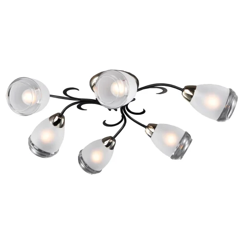 Люстра потолочная Oakland LSP-9952 Lussole белая прозрачная на 6 ламп, основание чёрное в стиле современный Люстра потолочная Oakland LSP-9952 Lussole белая прозрачная на 6 ламп, основание чёрное в стиле современный