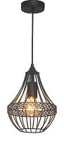 Светильник подвесной Terra 1800-1P Favourite чёрный 1 лампа, основание чёрное в стиле кантри 