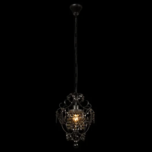 Светильник подвесной Burlesque 10417 BL LOFT IT чёрный на 1 лампу, основание чёрное в стиле современный замковый фото 2