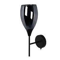 Бра с выключателем Barry A7951AP-1BK Arte Lamp чёрный 1 лампа, основание чёрное в стиле современный 