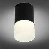 Светильник накладной LED Ercolano OML-100019-05 Omnilux чёрный 1 лампа, основание чёрное в стиле хай-тек круглый