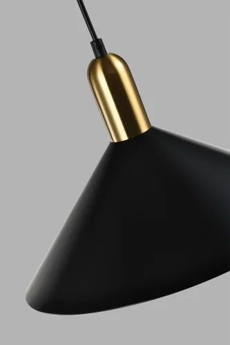 Светильник подвесной Forli V10440-1P Moderli чёрный 1 лампа, основание чёрное в стиле современный лофт  фото 3