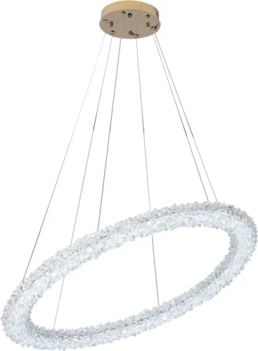 Люстра подвесная LED с пультом Felloria 4013/03/08P Stilfort прозрачная на 1 лампу, основание золотое в стиле современный кольца с пультом