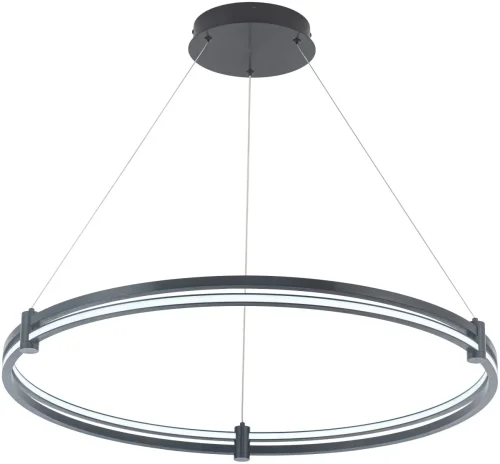 Светильник подвесной LED с пультом Ring 4006/02/01PL Stilfort чёрный 1 лампа, основание чёрное в стиле современный хай-тек с пультом кольца фото 3