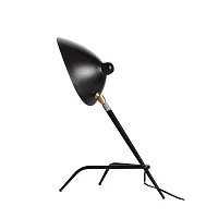 Настольная лампа Spruzzo SL305.404.01 ST-Luce чёрная 1 лампа, основание чёрное металл в стиле лофт 