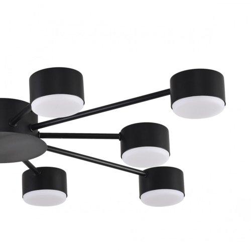 Светильник потолочный Torina 8344/10C Lumion чёрный на 10 ламп, основание чёрное в стиле минимализм фото 5