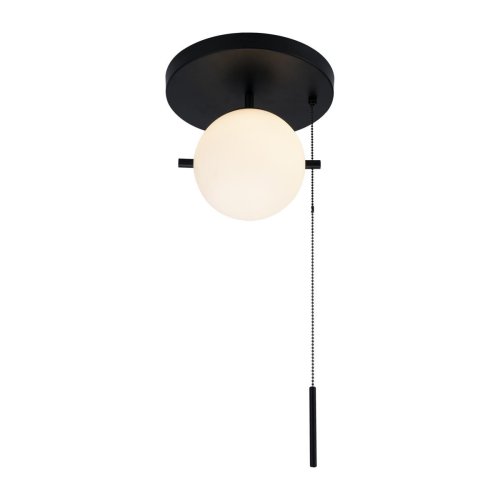 Светильник потолочный Signal 10029C Black LOFT IT белый 1 лампа, основание чёрное в стиле современный шар фото 2