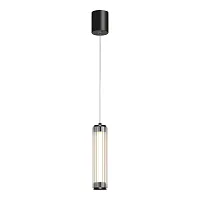 Светильник подвесной LED Bamboo SL6224.403.01 ST-Luce прозрачный на 1 лампу, основание чёрное в стиле современный 