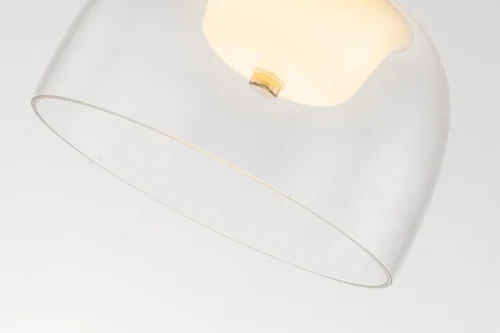 Светильник подвесной LED Narbolia L 1.P5 CL Arti Lampadari прозрачный 1 лампа, основание золотое в стиле хай-тек современный  фото 2