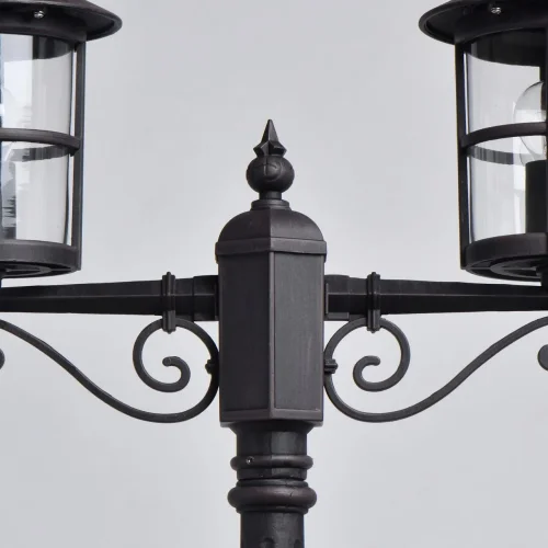 Парковый светильник Телаур 806041202 DeMarkt уличный IP44 чёрный 2 лампы, плафон прозрачный в стиле кантри E27 фото 6