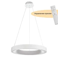 Светильник подвесной LED с пультом Elara MR9140-PL MyFar белый на 1 лампу, основание белое в стиле современный хай-тек 