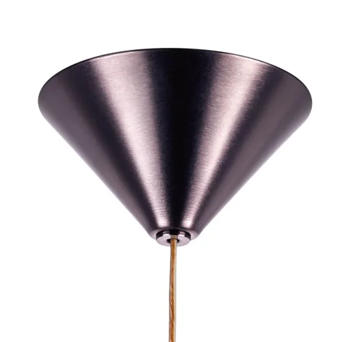 Светильник подвесной LED Sferetta 801010 Lightstar прозрачный 1 лампа, основание бордовое коричневое в стиле минимализм  фото 6