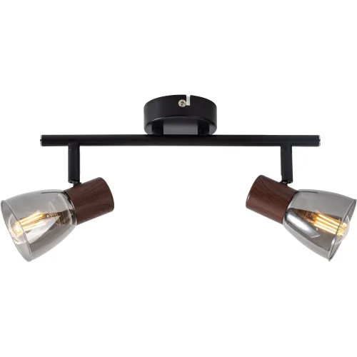 Спот с 2 лампами Lavinia TL1233Y-02BB Toplight чёрный серый E14 в стиле современный 
