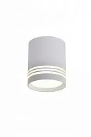 Светильник накладной LED Fortezza OML-100109-12 Omnilux белый на 1 лампу, основание белое в стиле хай-тек круглый