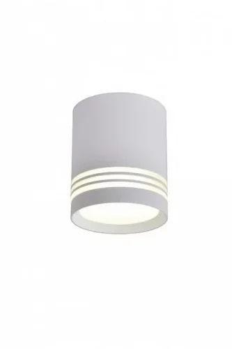 Светильник накладной LED Fortezza OML-100109-12 Omnilux белый на 1 лампу, основание белое в стиле хай-тек круглый