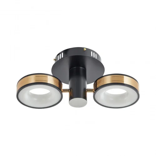 Люстра потолочная LED Ferrara-71040 271040/2R BK/GD Arte Milano белая на 1 лампу, основание чёрное в стиле современный хай-тек фото 12