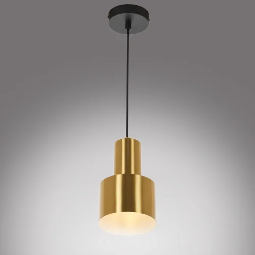 Светильник подвесной Lima MR1150-1P MyFar золотой 1 лампа, основание чёрное в стиле современный лофт хай-тек  фото 5